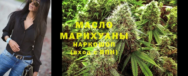 мдпв Заводоуковск