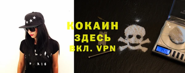 мдпв Заводоуковск