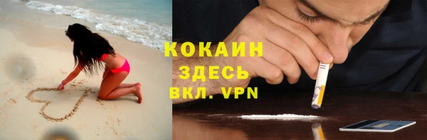 мдпв Заводоуковск