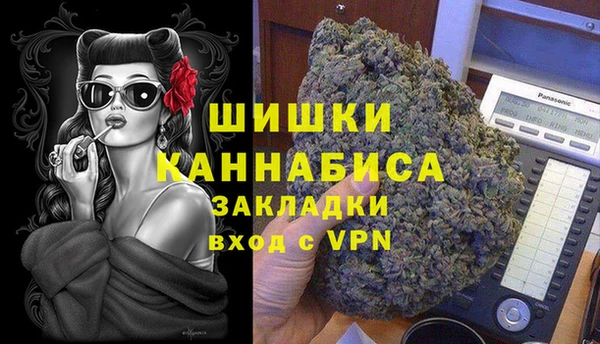 мдпв Заводоуковск