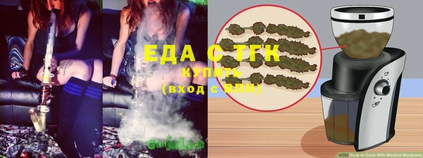 мдпв Заводоуковск